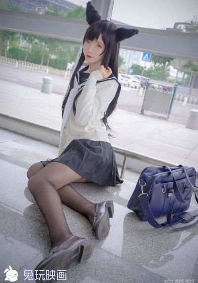 与君歌电视剧免费观看