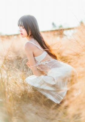 天美在线观看电视剧免费版
