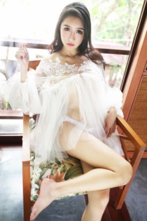 无耻家族
