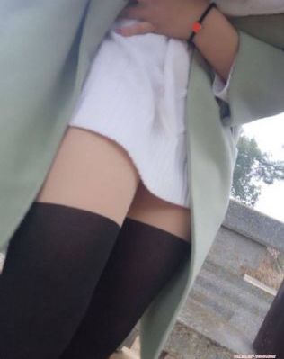 高清视频在线观看免费
