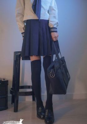 恐龙战队美版