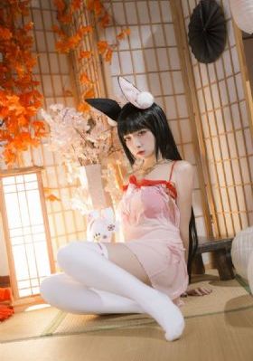 刺猬