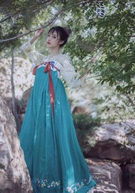 民族舞蹈视频