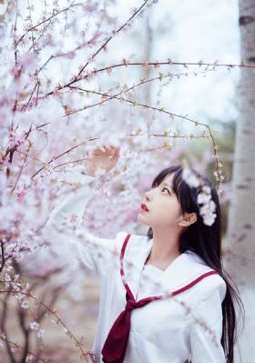 最强女婿免费观看完整版电影高清