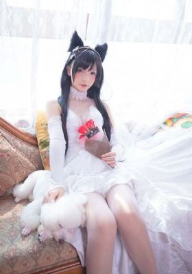 再生缘电视剧全集免费观看